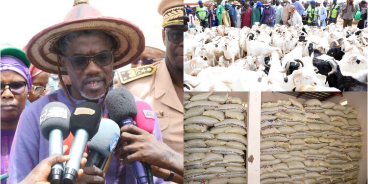 InCollage 20250526 150953670