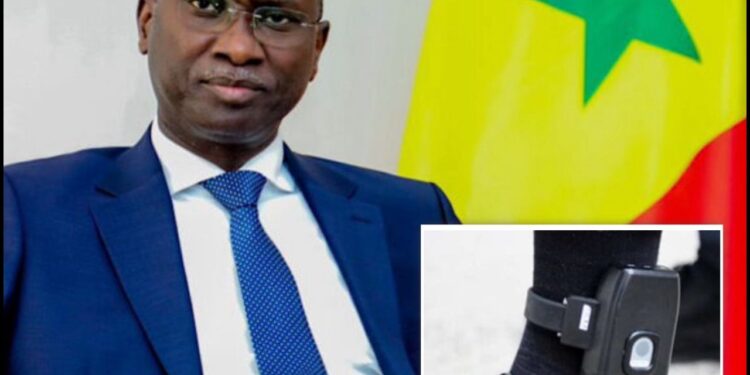 DOSSIER ISMAILA MADIOR FALL – JUSTICE, RESPONSABILITÉ ET PRIVILÈGE / Deux poids, deux mesures : quand l’accusateur croupit en prison et le ministre accusé reste chez lui.