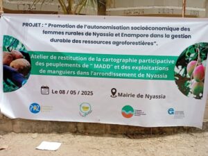 Nyassia et Enampore : Une cartographie participative pour booster les filières madd et mangue au service des femmes rurales 5 img 20250508 wa01868778237089033325094