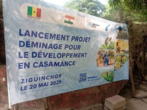 Déminage en Casamance : à Nyassia, Yassine Fall préside la restitution des terres tandis que 75 zones dangereuses subsistent dans 36 localités 6 img 20250520 wa01621671663386211046021