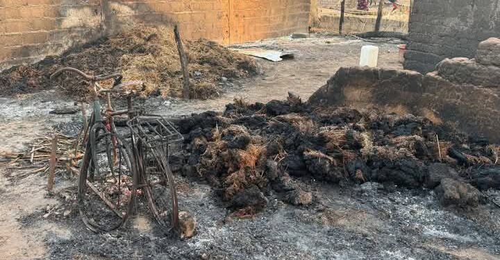 FB IMG 1748861819033