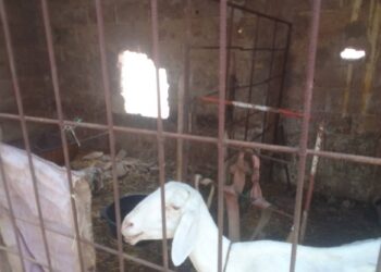 FB IMG 1749116473145