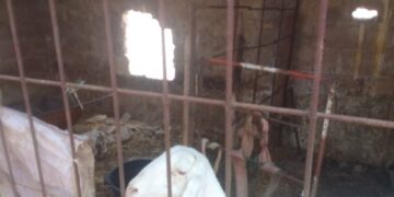 FB IMG 1749116473145