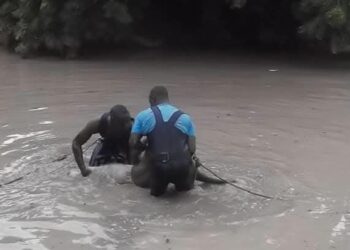 FB IMG 1750798523312