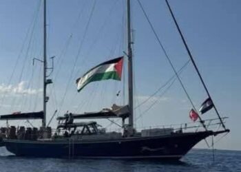 InCollage 20250609 100633222