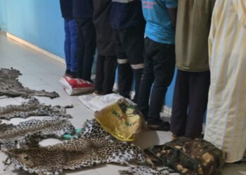 InCollage 20250612 215527502