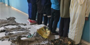 InCollage 20250612 215527502