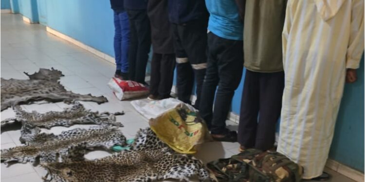 InCollage 20250612 215527502