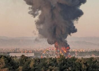 InCollage 20250615 174651203