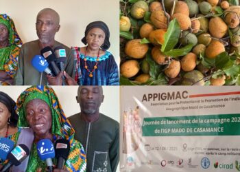 InCollage 20250616 112025952