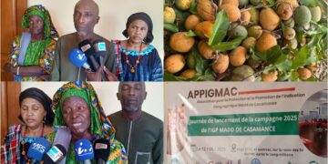 InCollage 20250616 112025952