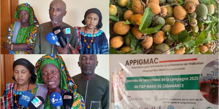 InCollage 20250616 112025952