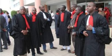 InCollage 20250617 161543307