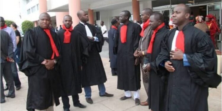 InCollage 20250617 161543307