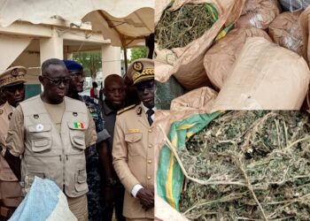 InCollage 20250625 191944532