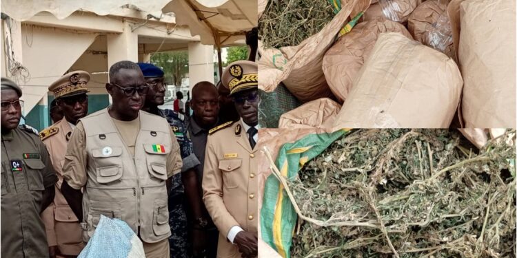 InCollage 20250625 191944532