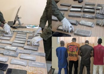 Ziguinchor : Nouvelle saisie de billets noirs d'une valeur de plus d’un milliard FCFA 7 InCollage 20250627 202838147