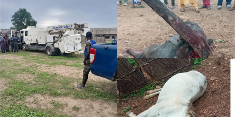 InCollage 20250628 192701320