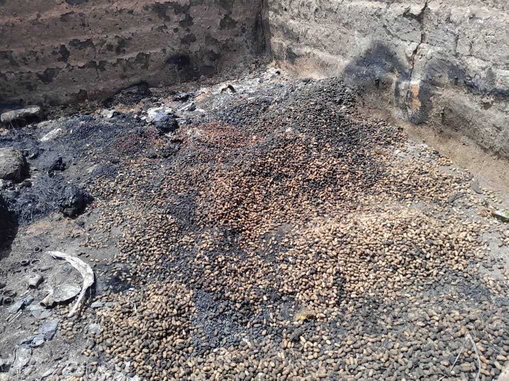Tambacounda : un incendie ravage une dizaine de concessions à Dialacoro 3 img 20250602 wa01228308547391188931750