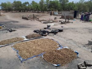 Tambacounda : un incendie ravage une dizaine de concessions à Dialacoro 5 img 20250602 wa01246626260723347750985