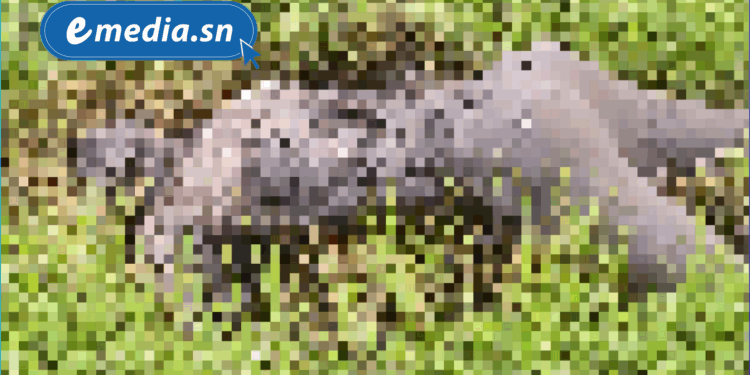 20250719 160135 0000