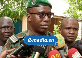 Ziguinchor veut "planter l'avenir" pour préserver l’environnement et protéger les populations 1 20250722 180209 0000