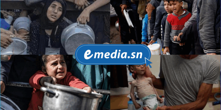 Gaza au bord de la famine : plus de 100 ONG lancent un appel d'urgence à la communauté internationale 1 20250723 110149 0000