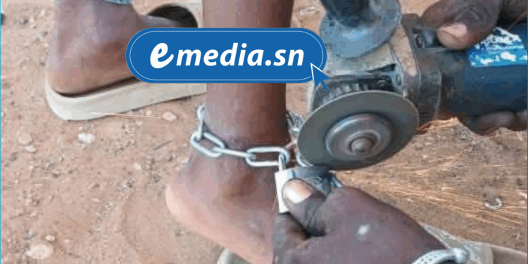 Maltraitance à Joal : Deux enfants retrouvés enchaînés dans un enclos à moutons 1 20250725 091723 0000