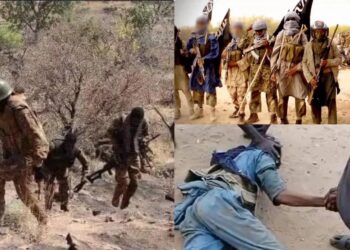 Attaques coordonnées contre l’armée malienne à Ségou, Nioro, Diboli et Kayes : les FAMa ripostent, des assaillants capturés par la population 2 InCollage 20250701 110341041