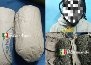 Ziguinchor : Saisie de chanvre indien à l’entrée de la gare routière 4 InCollage 20250704 210944384