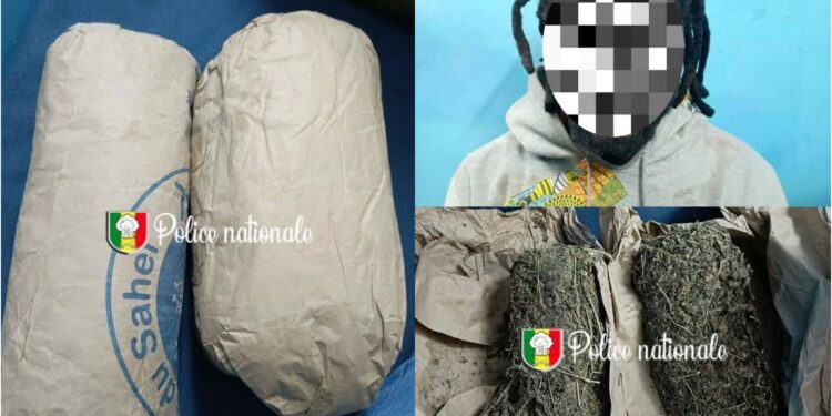 Ziguinchor : Saisie de chanvre indien à l’entrée de la gare routière 1 InCollage 20250704 210944384