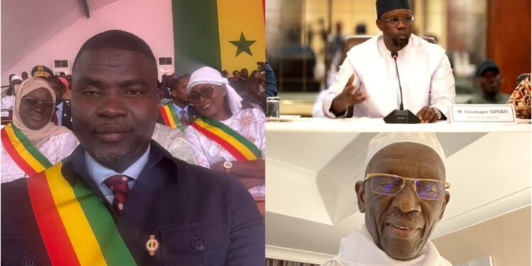 InCollage 20250711 115541632