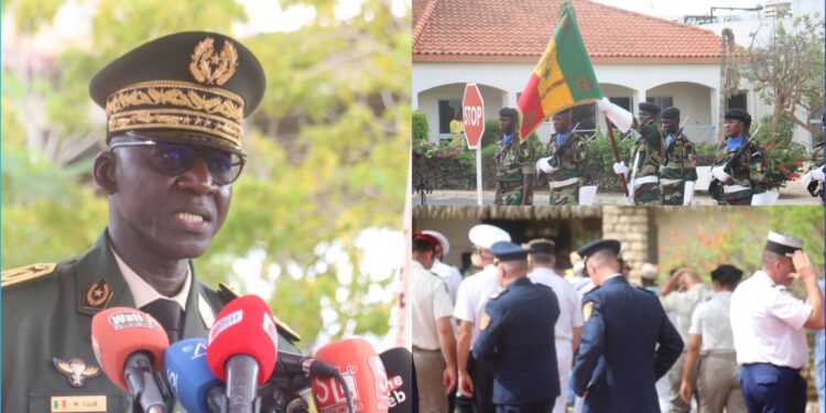 InCollage 20250717 113703792