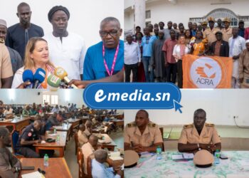ACRA, une décennie d’engagement WASH en Casamance : un modèle de partenariat pour l’accès à l’eau et à l’assainissement 10 InCollage 20250719 084542979