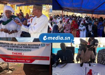 Santé publique : la tuberculose toujours menaçante à Kédougou 1 InCollage 20250720 095517715