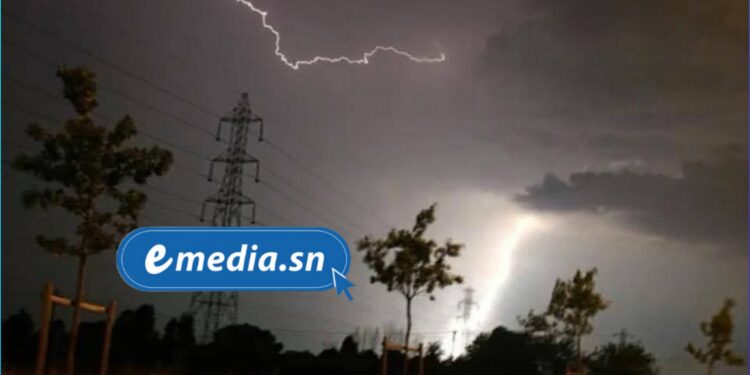 InCollage 20250720 211641417