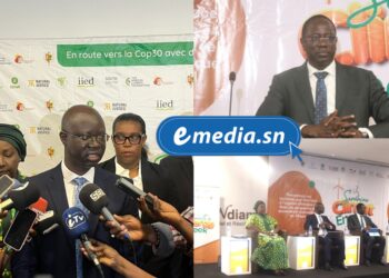 InCollage 20250721 192253207