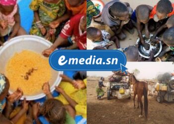 InCollage 20250722 120751005