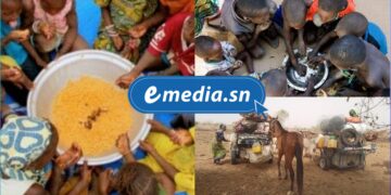 Matam et Kanel confrontés à la montée de l’insécurité alimentaire 5 InCollage 20250722 120751005