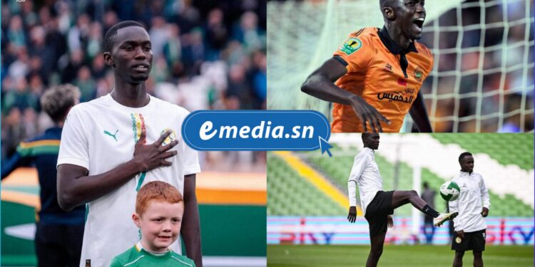 InCollage 20250722 225020459