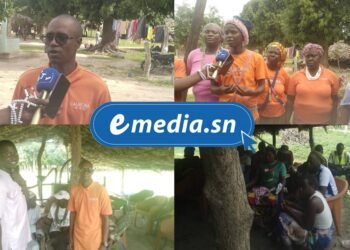 InCollage 20250723 133334608