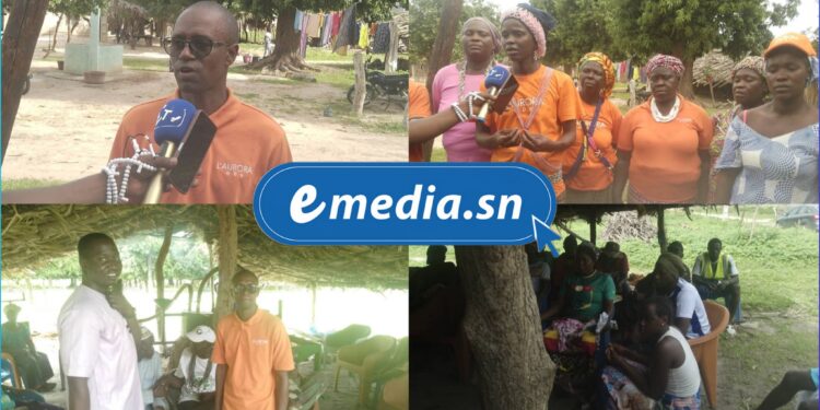 InCollage 20250723 133334608