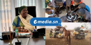 Lancement du Programme de Réponse à l’Insécurité Alimentaire : 10 000 ménages ciblés dans cinq départements 7 InCollage 20250725 101325445