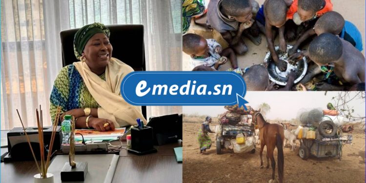 Lancement du Programme de Réponse à l’Insécurité Alimentaire : 10 000 ménages ciblés dans cinq départements 1 InCollage 20250725 101325445