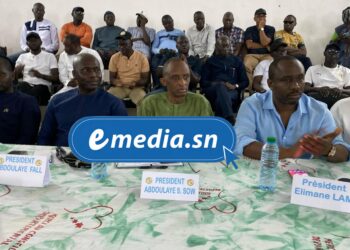 Présidence de la FSF : Abdoulaye Fall présente son projet PRAXIS à Ziguinchor et reçoit un soutien de 28 clubs sur les 29 que compte la ligue régionale 2 InCollage 20250725 105643280