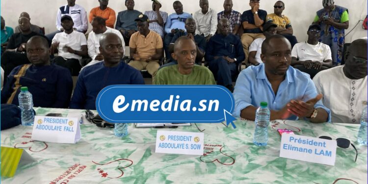 Présidence de la FSF : Abdoulaye Fall présente son projet PRAXIS à Ziguinchor et reçoit un soutien de 28 clubs sur les 29 que compte la ligue régionale 1 InCollage 20250725 105643280