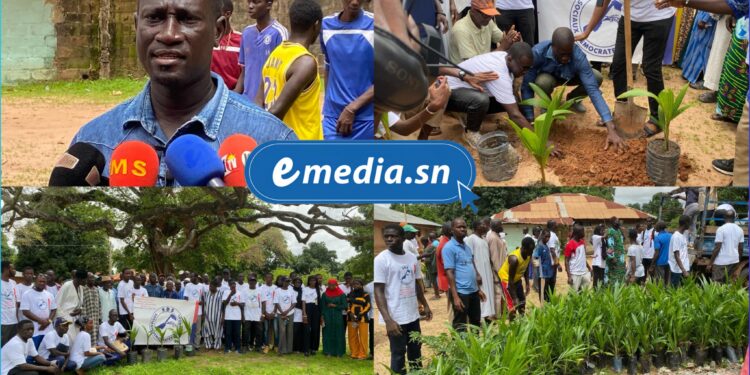 InCollage 20250725 171857679