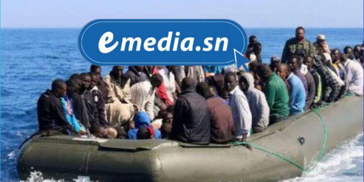 InCollage 20250727 003546143