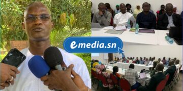 InCollage 20250731 102031410