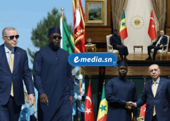 Diplomatie : Le président turc Recep Tayyip Erdoğan salue la visite du Premier ministre Ousmane Sonko à Ankara 1 20250807 184348 0000